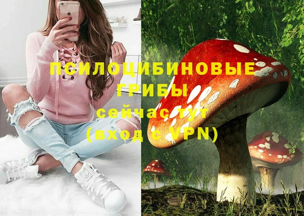 героин Алзамай