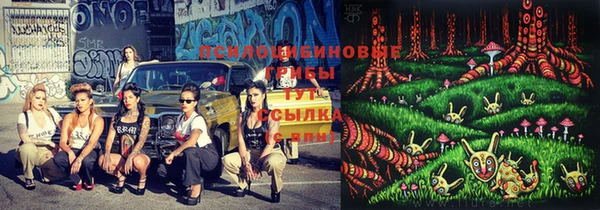 тгк Алексеевка