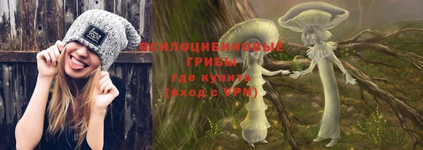 тгк Алексеевка