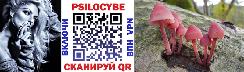 Псилоцибиновые грибы Magic Shrooms  Агрыз 